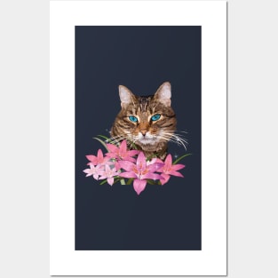 Cat Posters and Art